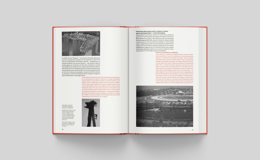 Livro: A Arte Salva, de Eduardo Srur